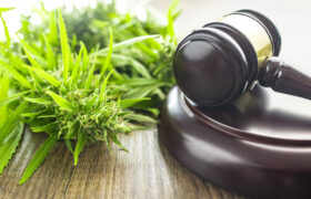 Cannabis Business Legal Services: Navigating Success Legally